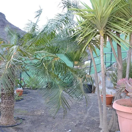 Medinas Apartmán